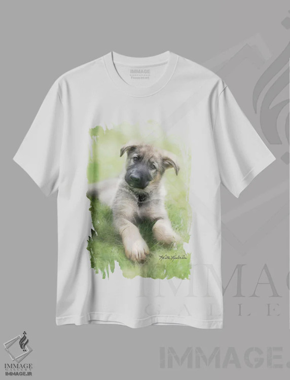 تیشرت سفید طرح دار شپ، مدیوم اثر کیت کیمبرلین | immage.ir