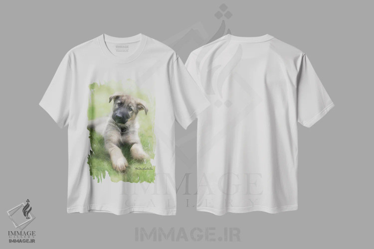 تیشرت سفید طرح دار شپ، مدیوم اثر کیت کیمبرلین | immage.ir