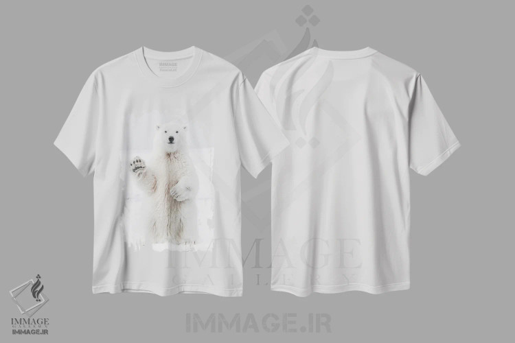 تیشرت سفید طرح دار خرس قطبی I، مدیوم اثر کارن منداو | فروشگاه ایماژ