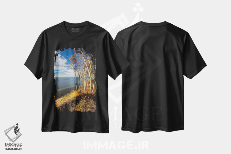 تیشرت مشکی طرح دار لهستان، دریای بالتیک IX، مدیوم اثر میکولاج گوسپودرک | فروشگاه ایماژ