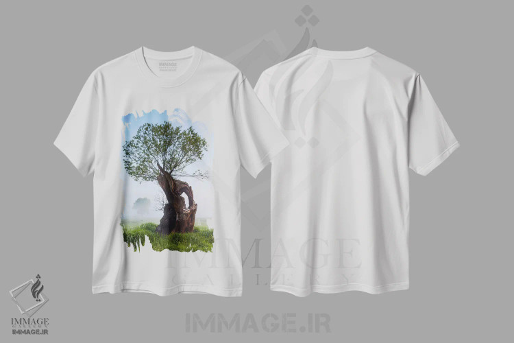 تیشرت سفید طرح دار آثار میکولاج گوسپودرک - immage.ir