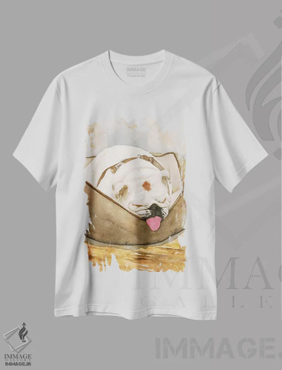 تیشرت سفید طرح دار شیرین و دوست داشتنی، دکور معاصر اثر لیز کاوینگتون | immage.ir