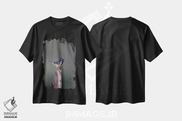 تیشرت مشکی طرح دار گنجشک گلو سیاهبالغ نشسته، مدیوم اثر لری دیتو | فروشگاه ایماژ