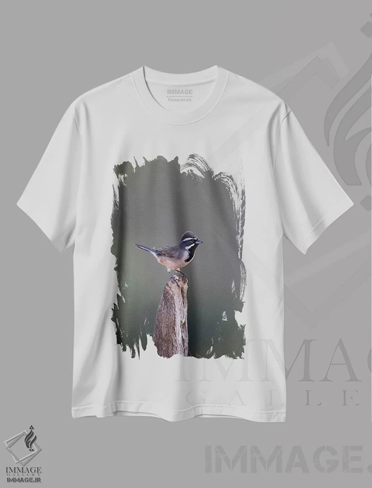 تیشرت سفید طرح دار گنجشک گلو سیاهبالغ نشسته، مدیوم اثر لری دیتو | immage.ir