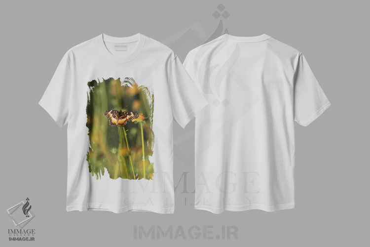 تیشرت سفید طرح دار پروانه بوردر پچنشسته روی گل، مدیوم اثر لری دیتو | فروشگاه ایماژ
