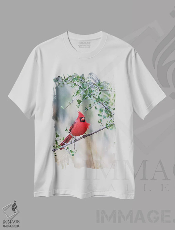 تیشرت سفید طرح دار کاردینال شمالی نشسته، مدیوم اثر لری دیتو | فروشگاه ایماژ