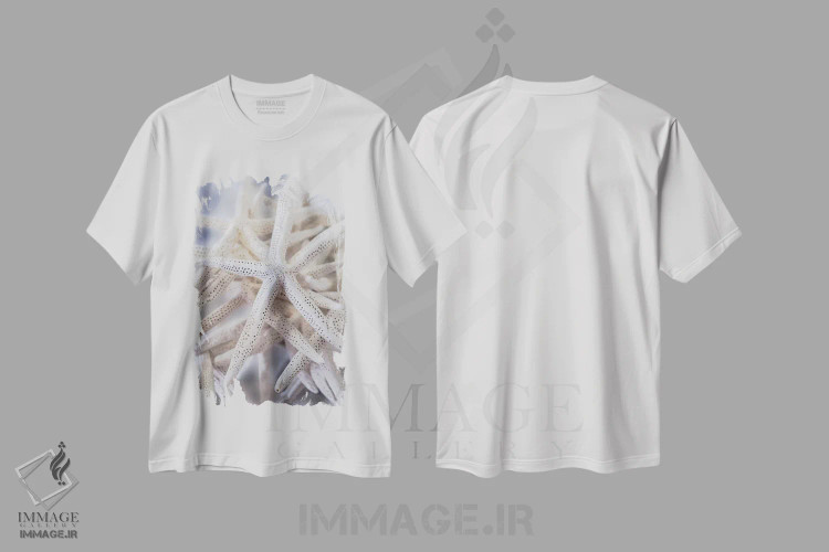 تیشرت سفید طرح دار USA,ستاره عنکبوتی بزرگ سفید، آمریکا، مدیوم اثر لیزا اس. انگلبریخت | immage.ir