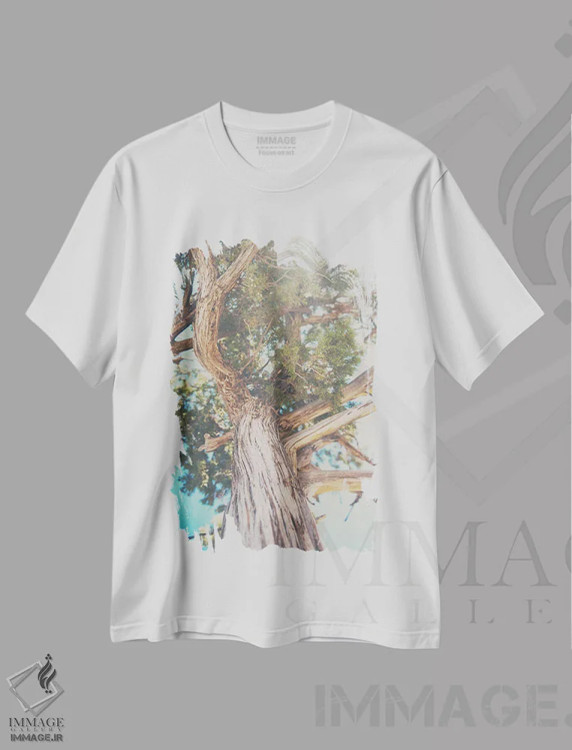 تیشرت سفید طرح دار نگاه رو به بالا میان برگ های درخت سرو کوهی، دکور کلبه و لژ اثر لورا ایوانز | immage.ir