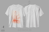 تیشرت سفید طرح دار انفجار نارنگی شماره ۱، دکور معاصر اثر ال. هیویت | فروشگاه ایماژ
