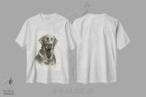 تیشرت سفید طرح دار طرح اسکچ لابرادور رتریور ۳، دست نقاشی و طراحی دستی اثر لینزی کیوی | immage.ir