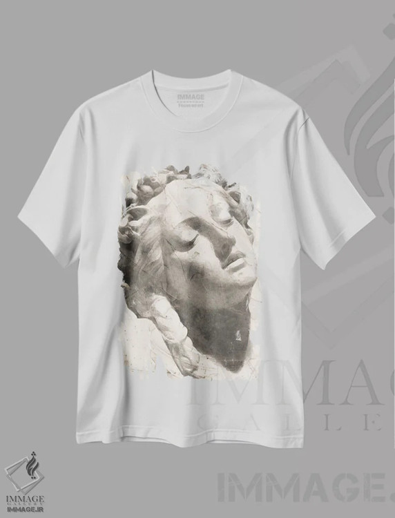 تیشرت سفید طرح دار "مطالعه کلاسیک ۴"، دکور معاصر اثر آلونزو ساندرز | immage.ir