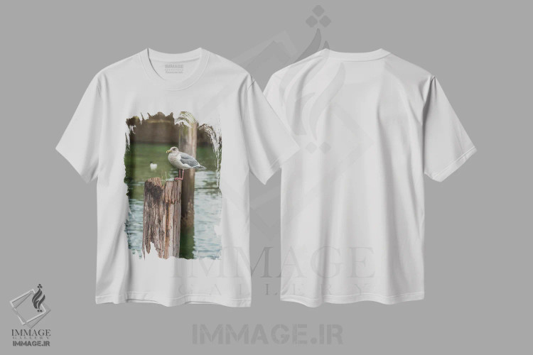 تیشرت سفید طرح دار – تیشرت پرنده ,لب مرز اثر لوئیس راث immage.ir