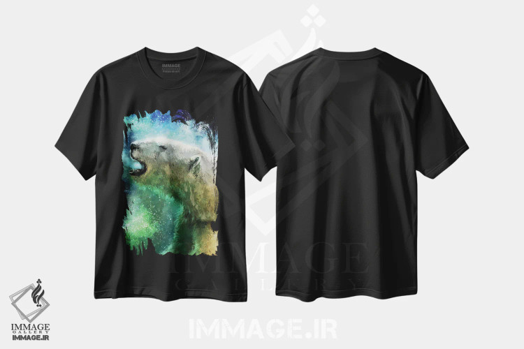 تیشرت مشکی طرح دار – تیشرت طبیعت ,شفق قطبی اثر لوییز گلبی immage.ir