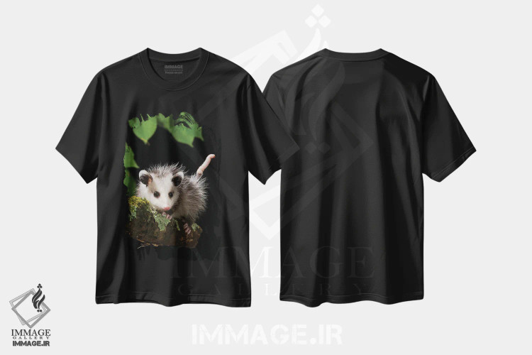 تیشرت مشکی طرح دار – تیشرت حیوانات ,اپوسوم ویرجینیا، پنسیلوانیا، آمریکا اثر جو و مری ان مک دونالد فروشگاه ایماژ
