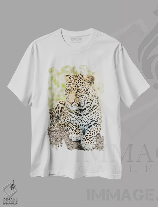 تیشرت سفید طرح دار – تیشرت حیوانات ,پلنگ آفریقایی، کنیا، آفریقا اثر جو و مری ان مک دونالد فروشگاه ایماژ