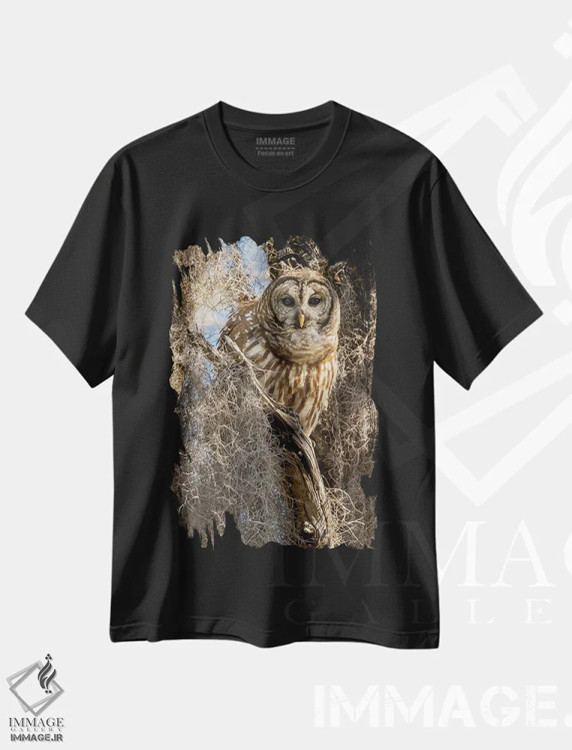 تیشرت مشکی طرح دار – تیشرت طبیعت ,جغد راه راهروی درخت، فلوریدا، آمریکا اثر جو و مری ان مک دونالد فروشگاه ایماژ