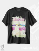 تیشرت مشکی طرح دار – تیشرت تابستانی ,تابستان فلامینگو اثر اندی متز immage.ir
