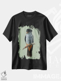تیشرت مشکی طرح دار – تیشرت حیوانات ,شاهین پا قرمز اثر میخائیل ودرنیکوف فروشگاه ایماژ