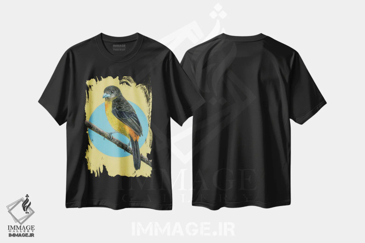 تیشرت مشکی طرح دار – تیشرت پرندگان ,"تانگر با پشت شعله ور" اثر میخائیل ودرنیکوف immage.ir