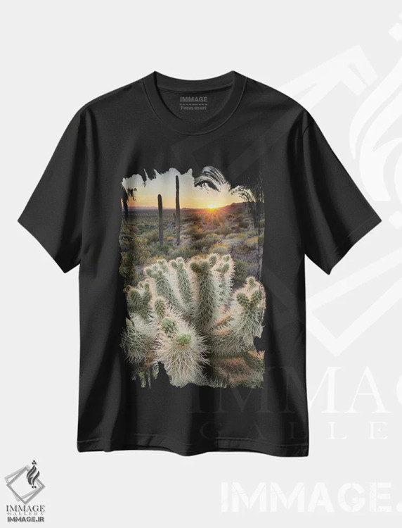 تیشرت مشکی طرح دار – تیشرت طبیعت ,آمریکا، آریزونا. کاکتوس تدی بیر چولا روشن شده توسط نور غروب خورشید، کوه های سوپریستیژن اثر آلن ماچروویچ immage.ir