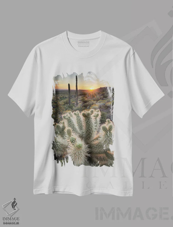 تیشرت سفید طرح دار – تیشرت طبیعت ,آمریکا، آریزونا. کاکتوس تدی بیر چولا روشن شده توسط نور غروب خورشید، کوه های سوپریستیژن اثر آلن ماچروویچ فروشگاه ایماژ