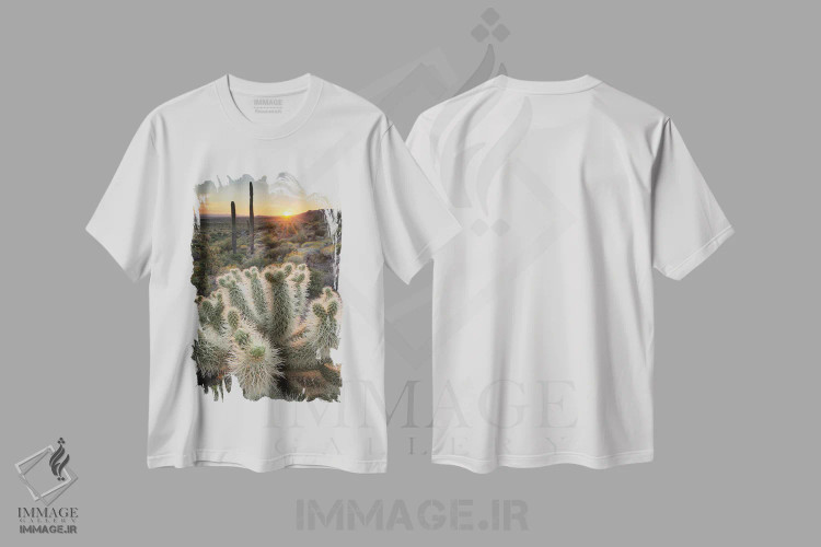 تیشرت سفید طرح دار – تیشرت طبیعت ,آمریکا، آریزونا. کاکتوس تدی بیر چولا روشن شده توسط نور غروب خورشید، کوه های سوپریستیژن اثر آلن ماچروویچ فروشگاه ایماژ