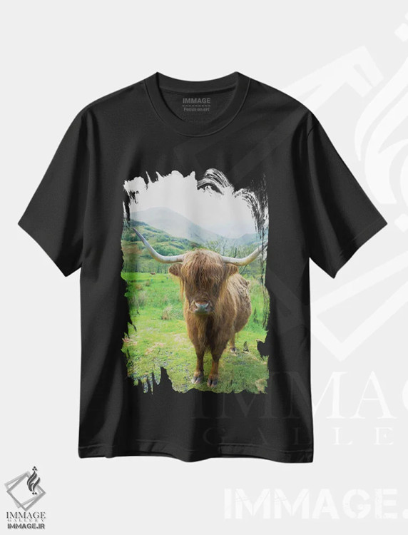 تیشرت مشکی طرح دار – تیشرت حیوانات ,گاوهای کوهستانی اسکاتلندی اثر آلن ماچروویچ فروشگاه ایماژ
