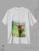 تیشرت سفید طرح دار – تیشرت حیوانات ,گاوهای کوهستانی اسکاتلندی اثر آلن ماچروویچ immage.ir