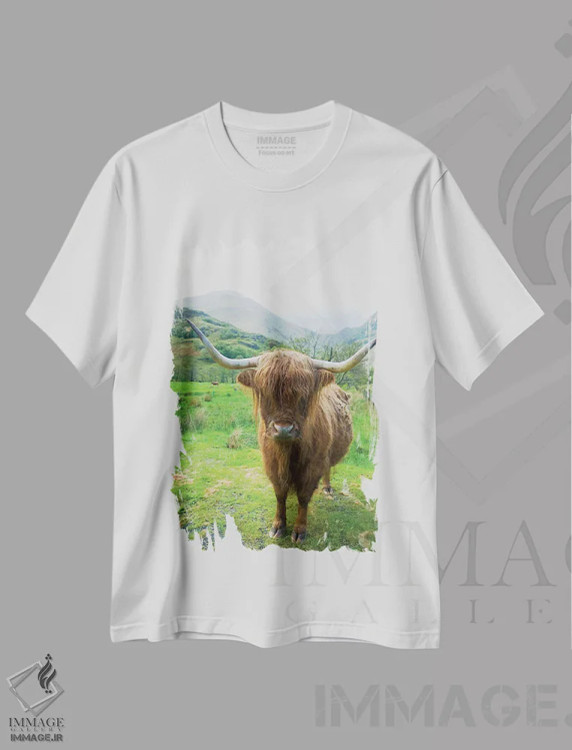 تیشرت سفید طرح دار – تیشرت حیوانات ,گاوهای کوهستانی اسکاتلندی اثر آلن ماچروویچ immage.ir