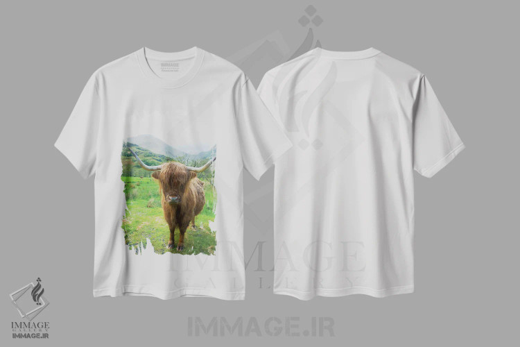 تیشرت سفید طرح دار – تیشرت حیوانات ,گاوهای کوهستانی اسکاتلندی اثر آلن ماچروویچ immage.ir