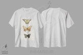 تیشرت سفید طرح دار – تیشرت پروانه ,پروانه ها اثر مایک کوبو فروشگاه ایماژ