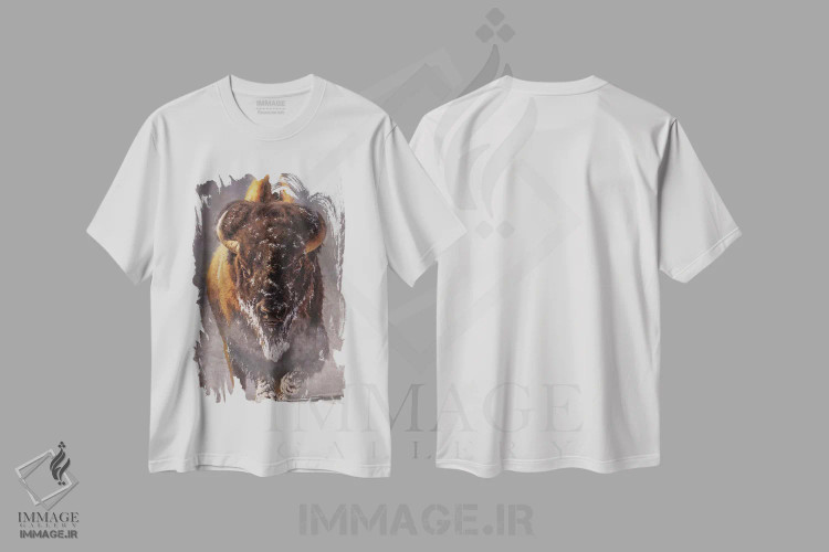 تیشرت سفید طرح دار – تیشرت زمستان ,پیرمرد زمستان اثر مارک مک کِنا immage.ir