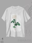 تیشرت سفید طرح دار – تیشرت گل رز ,گل رز سفید آبرنگ اثر میشل موسپنس immage.ir