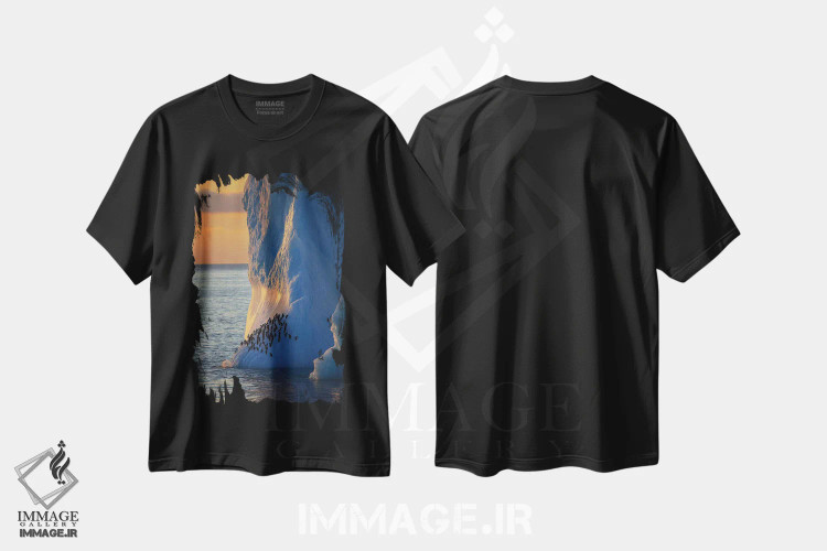 تیشرت مشکی طرح دار – تیشرت طبیعت ,پنگوئن های چانه بند روی برج یخی جنوبگان اثر موگنس تروله immage.ir