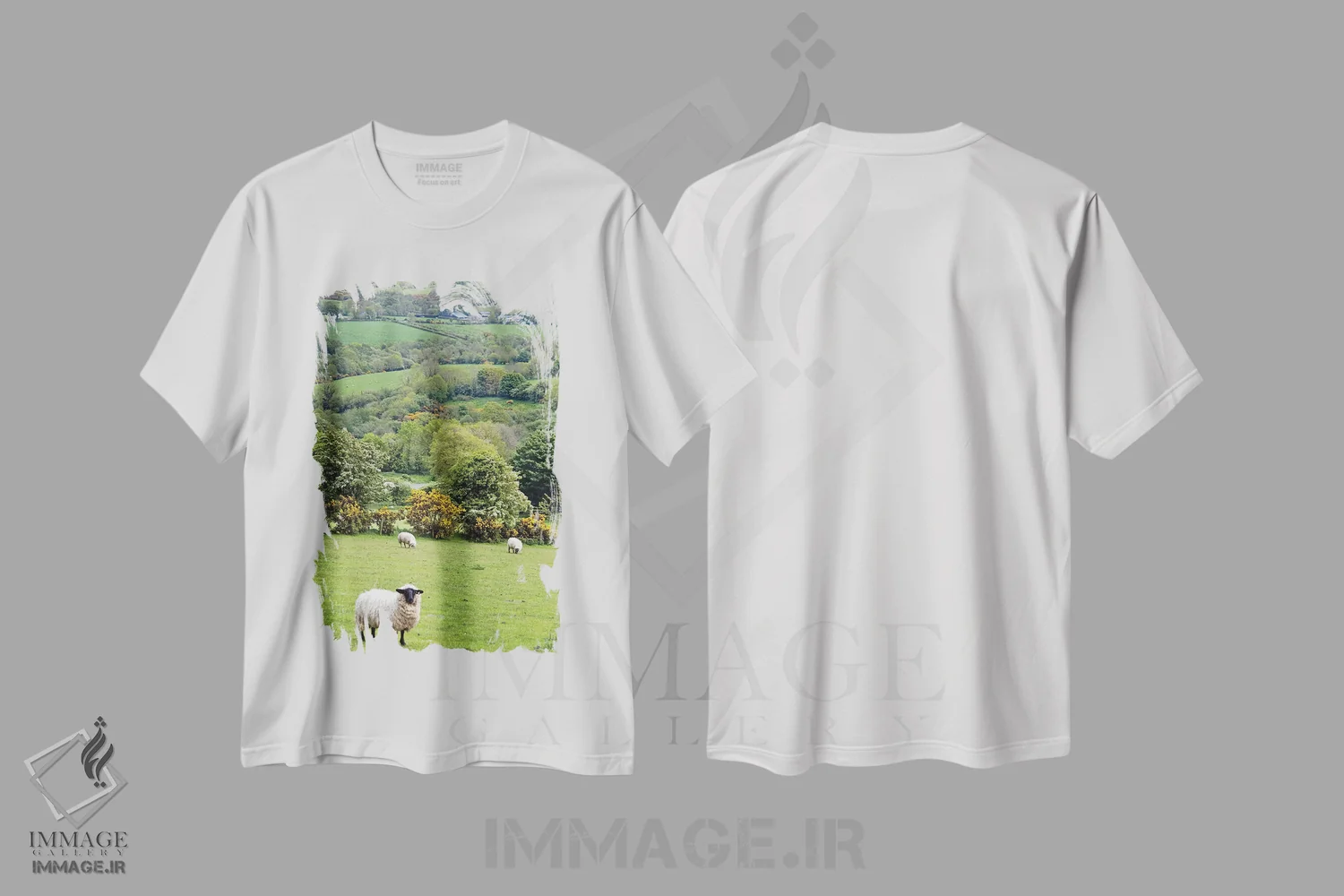 تیشرت سفید طرح دار – تیشرت طبیعت ,Dingle Peninsula, County Kerry, Munster Province, Republic Of Ireland,منظره ٔ روستایی، شبه جزیره دینگل، شهرستان کری، استان مانستر، جمهوری ایرلند اثر مریلین پارور immage.ir