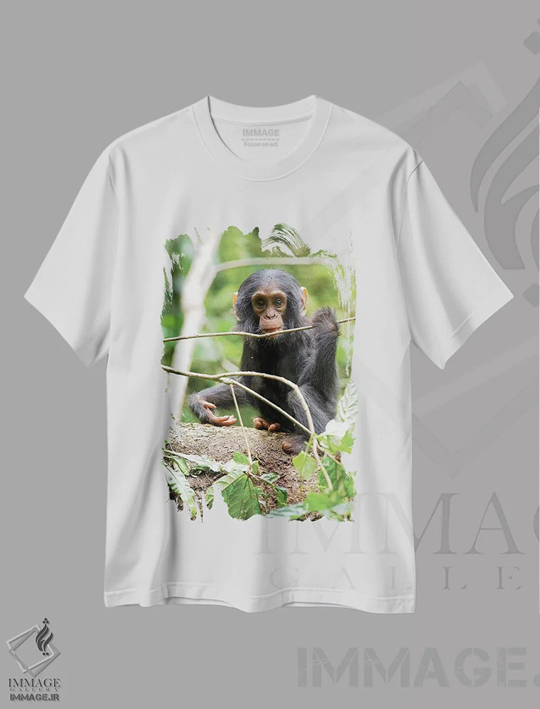 تیشرت سفید طرح دار – تیشرت طبیعت ,Uganda, Kibale National Park. A playful and curious infant chimpanzee.,آفریقا، اوگاندا، پارک ملی کیباله. یک شامپانزه نوزاد بازیگوش و کنجکاو اثر کریستین موشر فروشگاه ایماژ