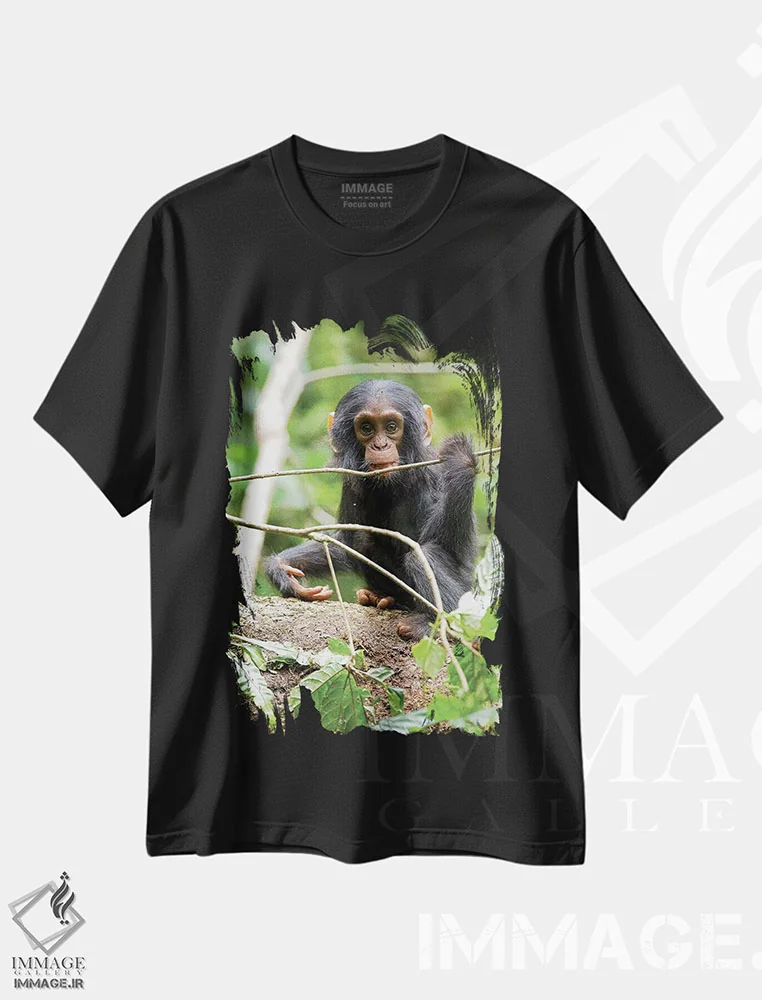 تیشرت مشکی طرح دار – تیشرت طبیعت ,Uganda, Kibale National Park. A playful and curious infant chimpanzee.,آفریقا، اوگاندا، پارک ملی کیباله. یک شامپانزه نوزاد بازیگوش و کنجکاو اثر کریستین موشر immage.ir
