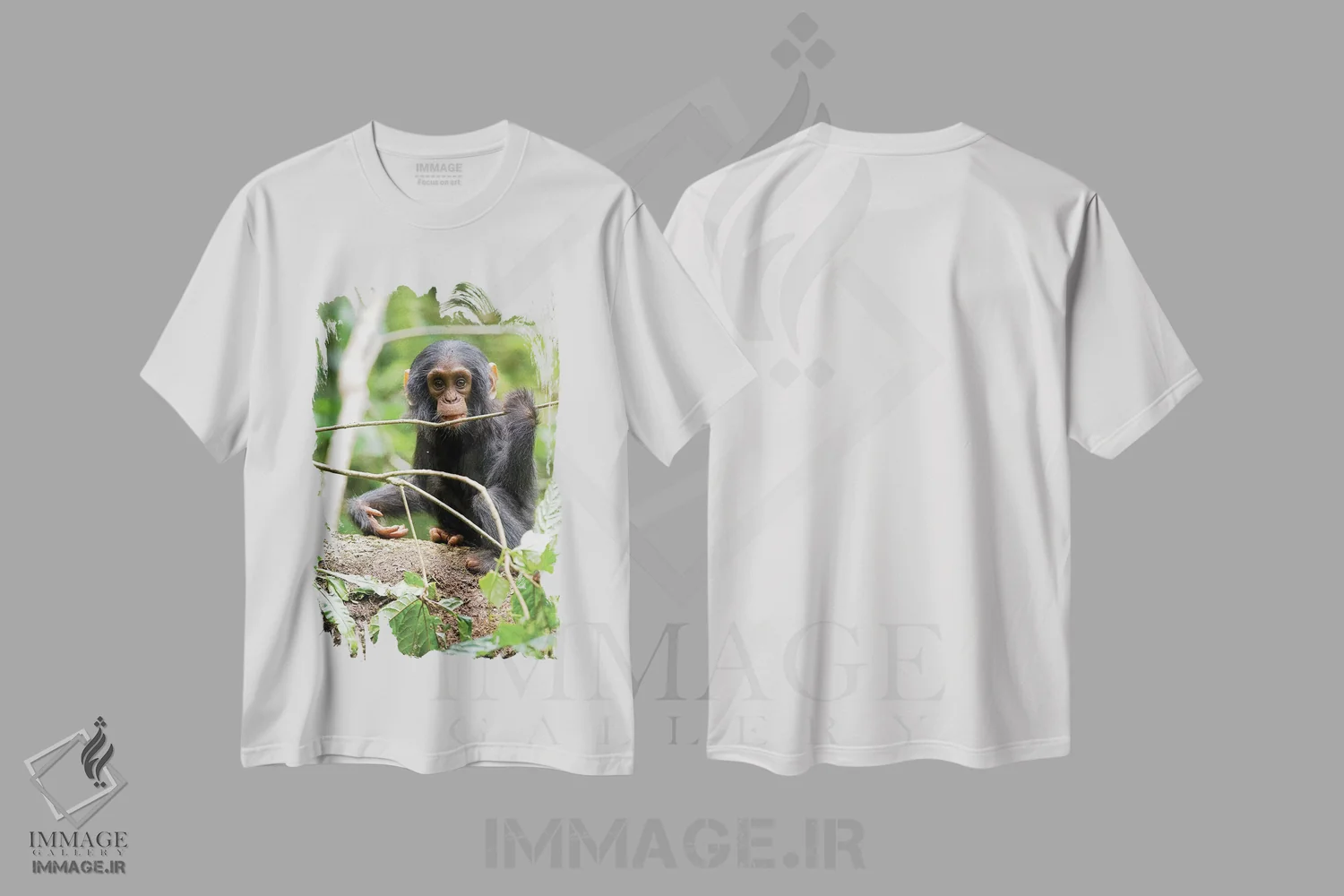 تیشرت سفید طرح دار – تیشرت طبیعت ,Uganda, Kibale National Park. A playful and curious infant chimpanzee.,آفریقا، اوگاندا، پارک ملی کیباله. یک شامپانزه نوزاد بازیگوش و کنجکاو اثر کریستین موشر فروشگاه ایماژ