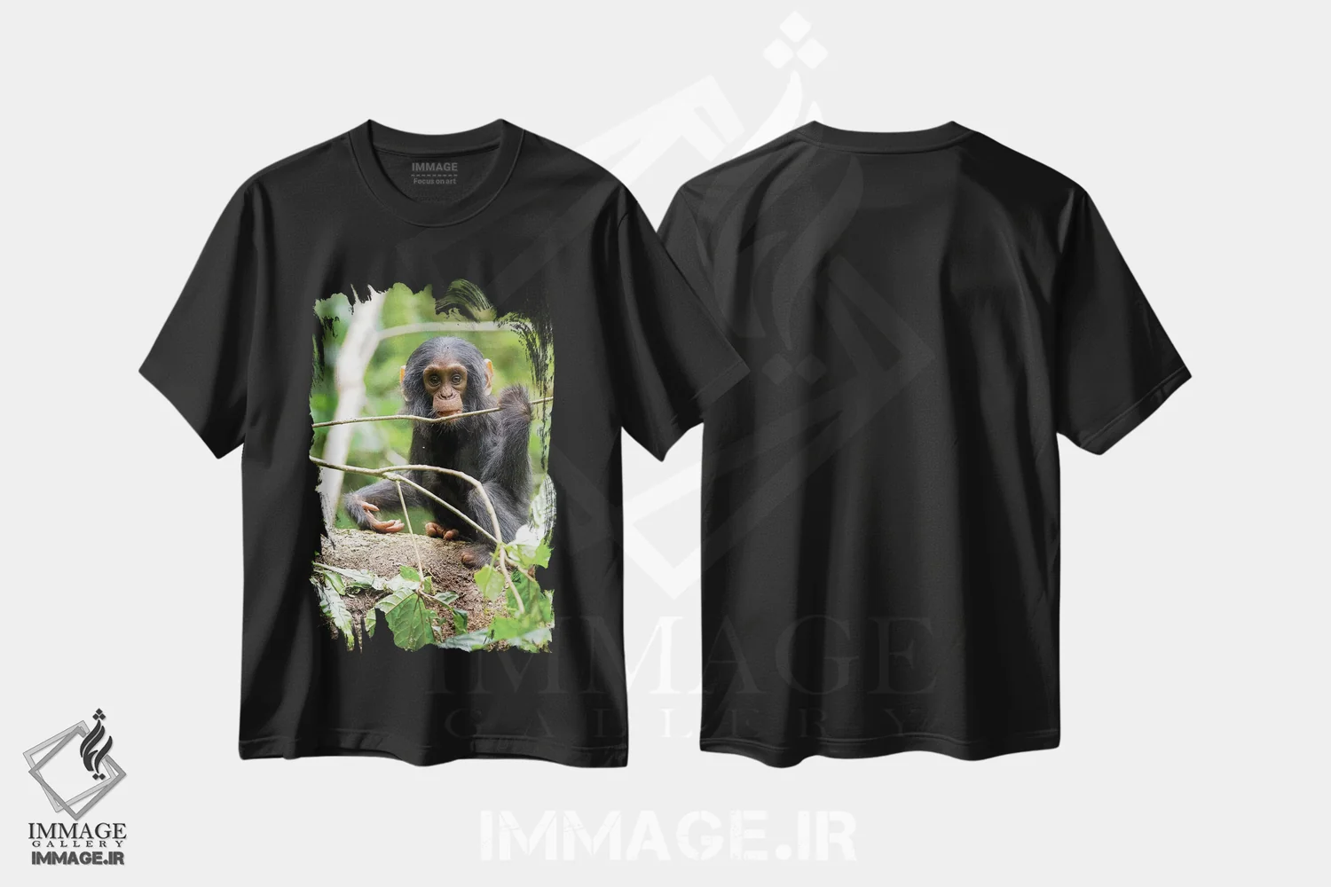 تیشرت مشکی طرح دار – تیشرت طبیعت ,Uganda, Kibale National Park. A playful and curious infant chimpanzee.,آفریقا، اوگاندا، پارک ملی کیباله. یک شامپانزه نوزاد بازیگوش و کنجکاو اثر کریستین موشر immage.ir