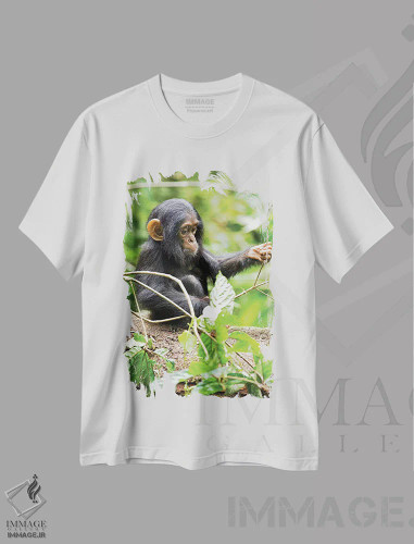 تیشرت سفید طرح دار – تیشرت طبیعت ,Uganda, Kibale National Park. An infant chimpanzee plays with a stick.,آفریقا، اوگاندا، پارک ملی کیباله. یک شامپانزه نوزاد با چوب بازی می کند اثر کریستین موشر فروشگاه ایماژ