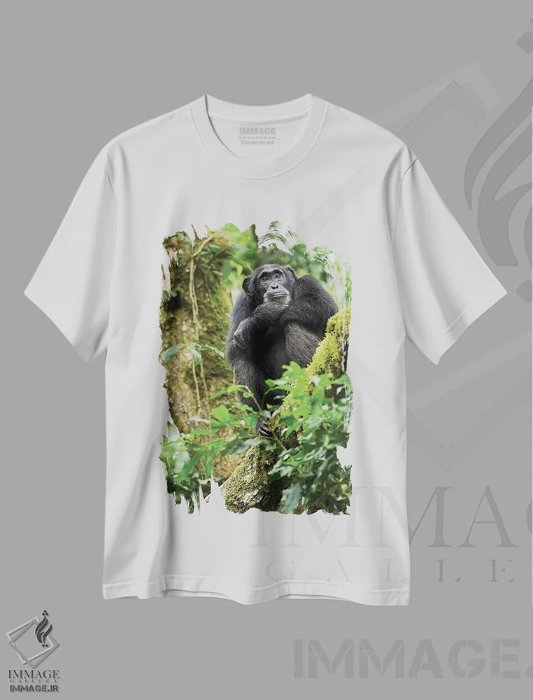تیشرت سفید طرح دار – تیشرت طبیعت ,Uganda, Kibale National Park. A relaxed female chimpanzee sits aloft in a mossy tree.,آفریقا، اوگاندا، پارک ملی کیباله. یک شامپانزه ماده آرام روی درختی خزه دار نشسته است اثر کریستین موشر immage.ir
