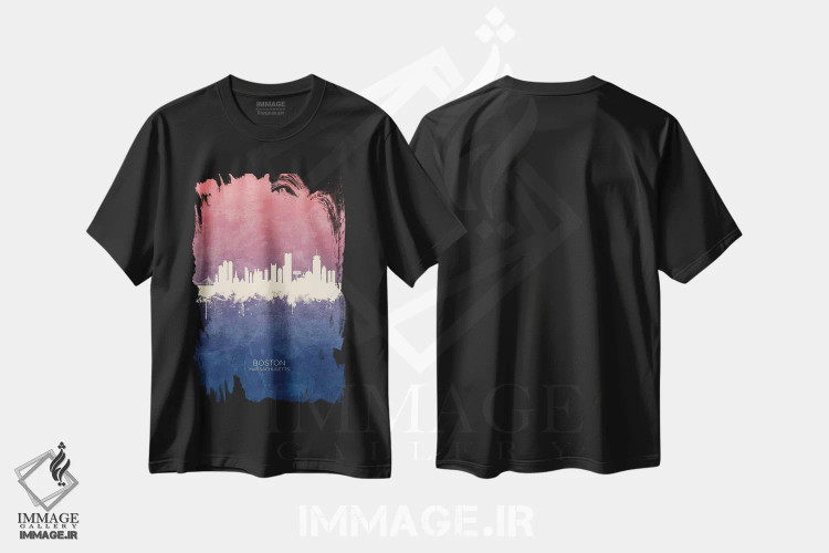 تیشرت مشکی طرح دار – تیشرت هنری بوستون ,خط افق بوستون ماساچوست با گل رز آبی اثر مایکل تامپست immage.ir
