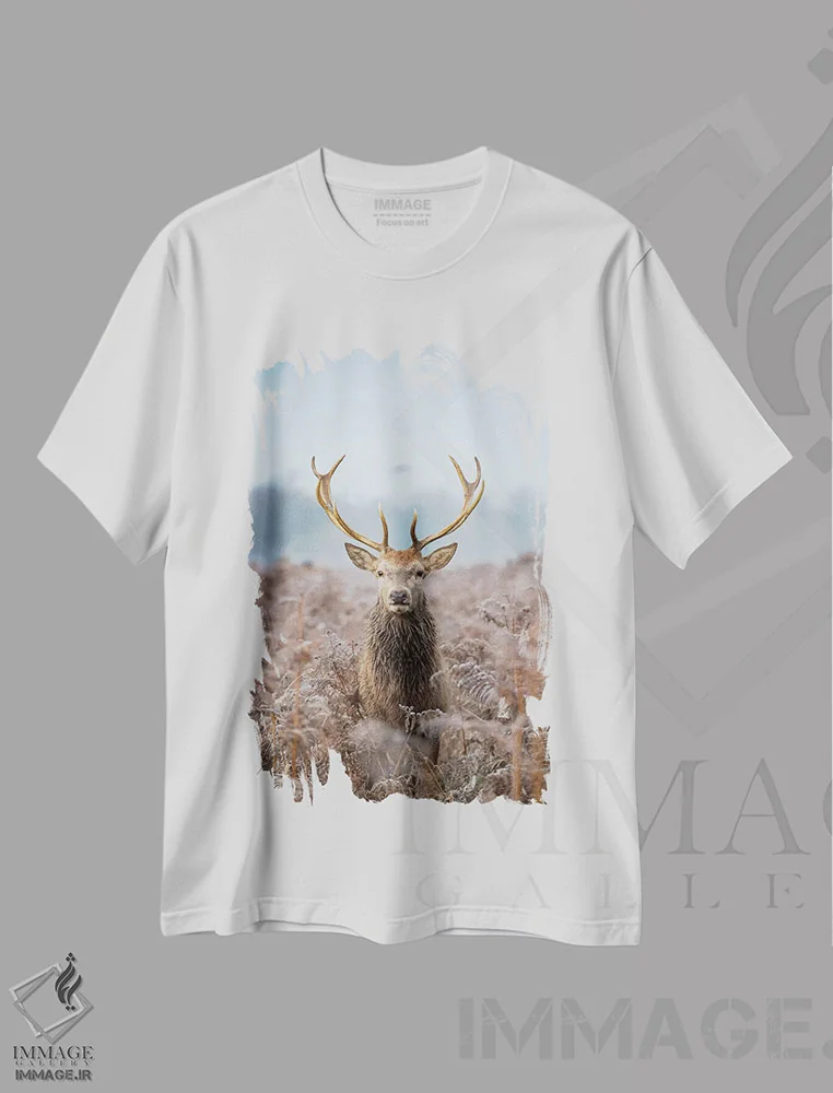 تیشرت سفید طرح دار – تیشرت طبیعت ,سر جلویی کشتی اثر مکس الیس فروشگاه ایماژ