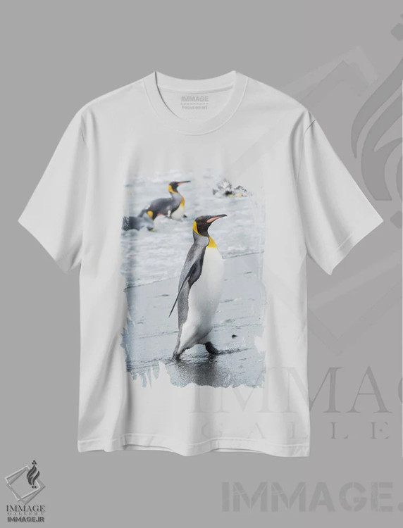 تیشرت سفید طرح دار – تیشرت طبیعت ,کلونی پنگوئن شاه در دشت سالزبری، خلیج جزایر، جزیره جورجیای جنوبی اثر مارتین زویک فروشگاه ایماژ