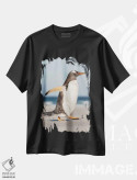 تیشرت مشکی طرح دار – تیشرت عکاسی طبیعت ,پنگوئن جنتو در جزایر فالکلند، در حال رژه به سمت کلونی هنگام عصر اثر مارتین زویک فروشگاه ایماژ