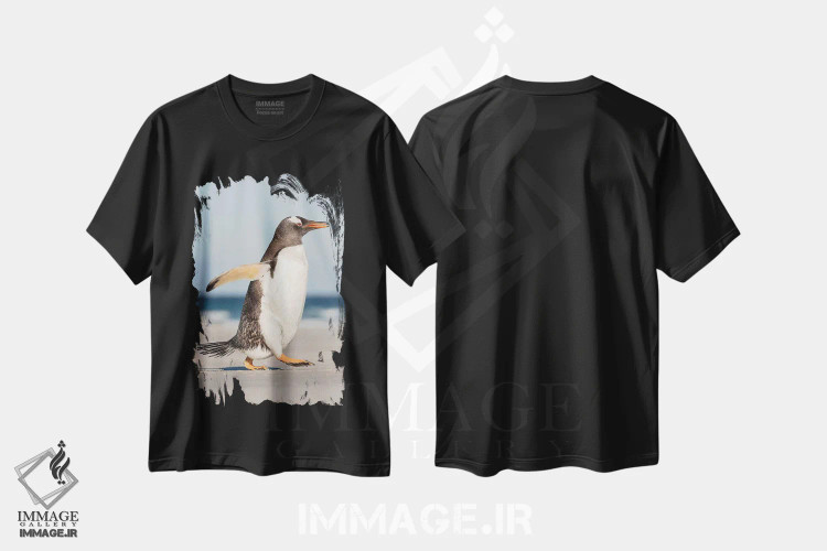 تیشرت مشکی طرح دار – تیشرت عکاسی طبیعت ,پنگوئن جنتو در جزایر فالکلند، در حال رژه به سمت کلونی هنگام عصر اثر مارتین زویک فروشگاه ایماژ