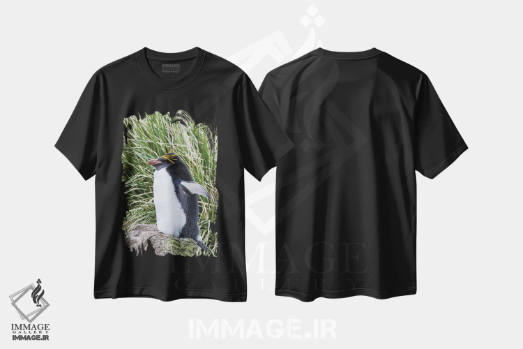 تیشرت مشکی طرح دار – تیشرت حیوانات ,پنگوئن ماکارونی ایستاده در کلونی، میان علفزارهای متراکم توساک اثر مارتین زویک فروشگاه ایماژ