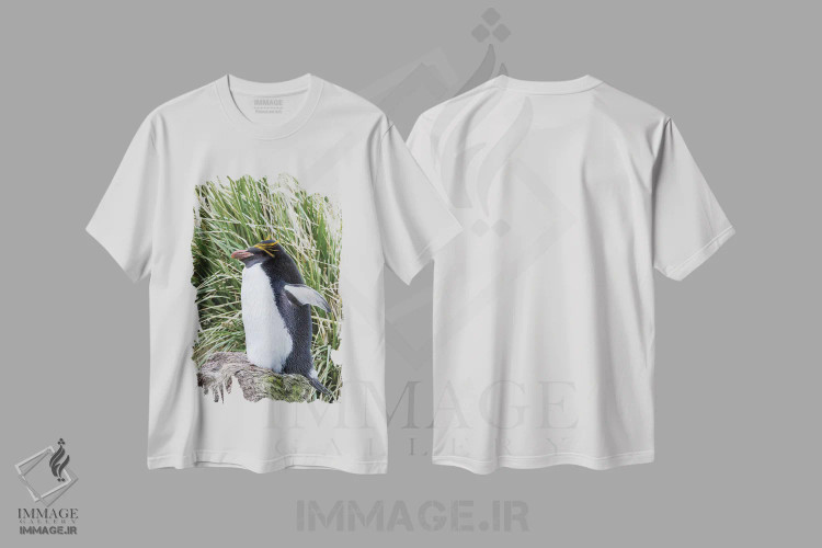 تیشرت سفید طرح دار – تیشرت حیوانات ,پنگوئن ماکارونی ایستاده در کلونی، میان علفزارهای متراکم توساک اثر مارتین زویک immage.ir