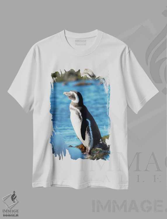 تیشرت سفید طرح دار – تیشرت طبیعت ,Falkland Islands,پنگوئن ماژلانیک در ساحل صخره ای، جزایر فالکلند اثر مارتین زویک immage.ir