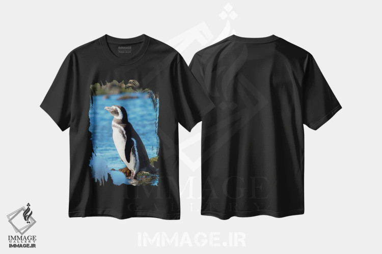 تیشرت مشکی طرح دار – تیشرت طبیعت ,Falkland Islands,پنگوئن ماژلانیک در ساحل صخره ای، جزایر فالکلند اثر مارتین زویک فروشگاه ایماژ